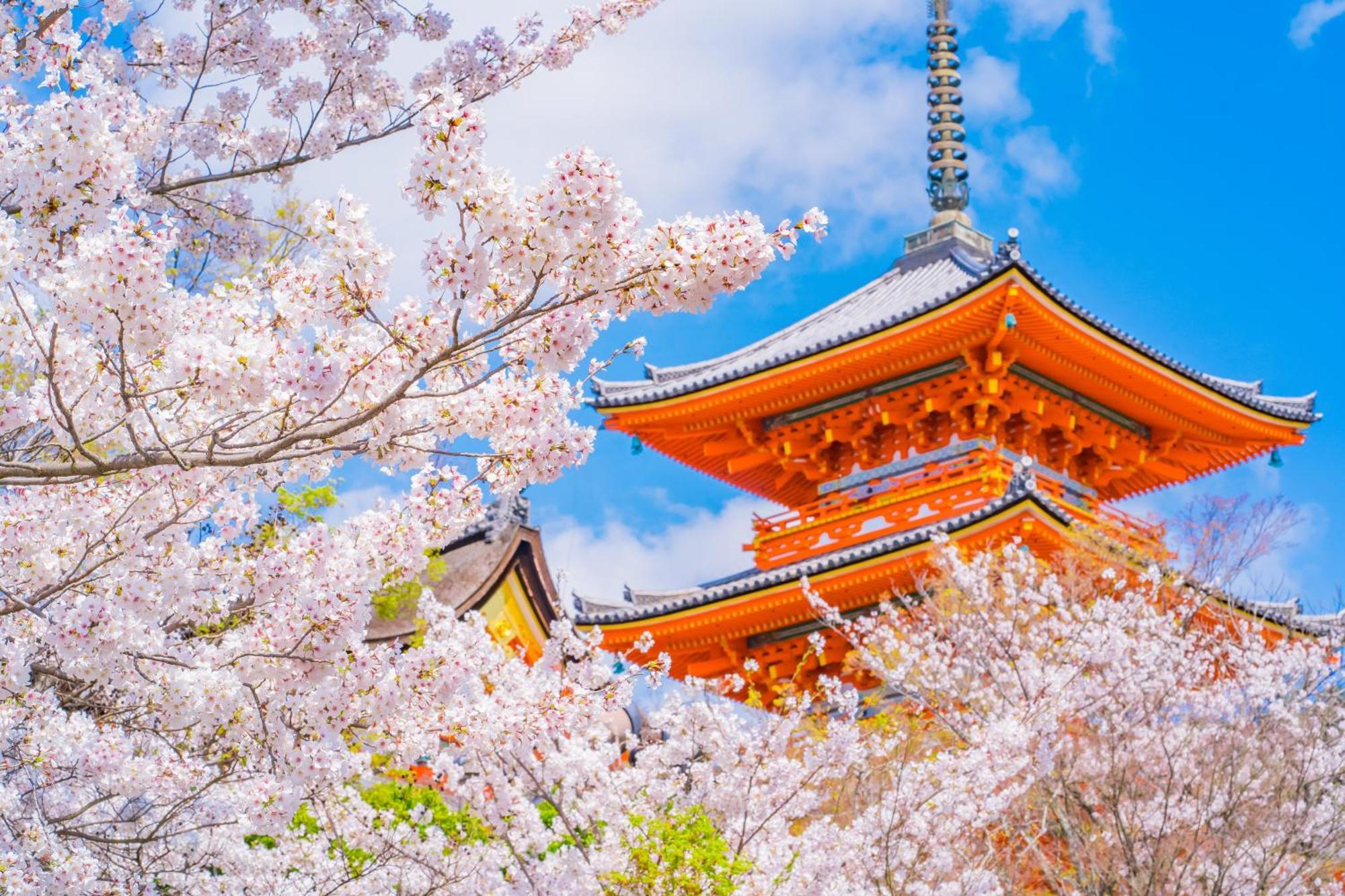 东急stay京都三条乌丸酒店 京都